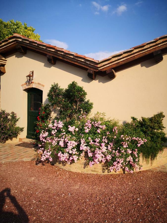 Tenuta L'Oliveta Crespina Zewnętrze zdjęcie